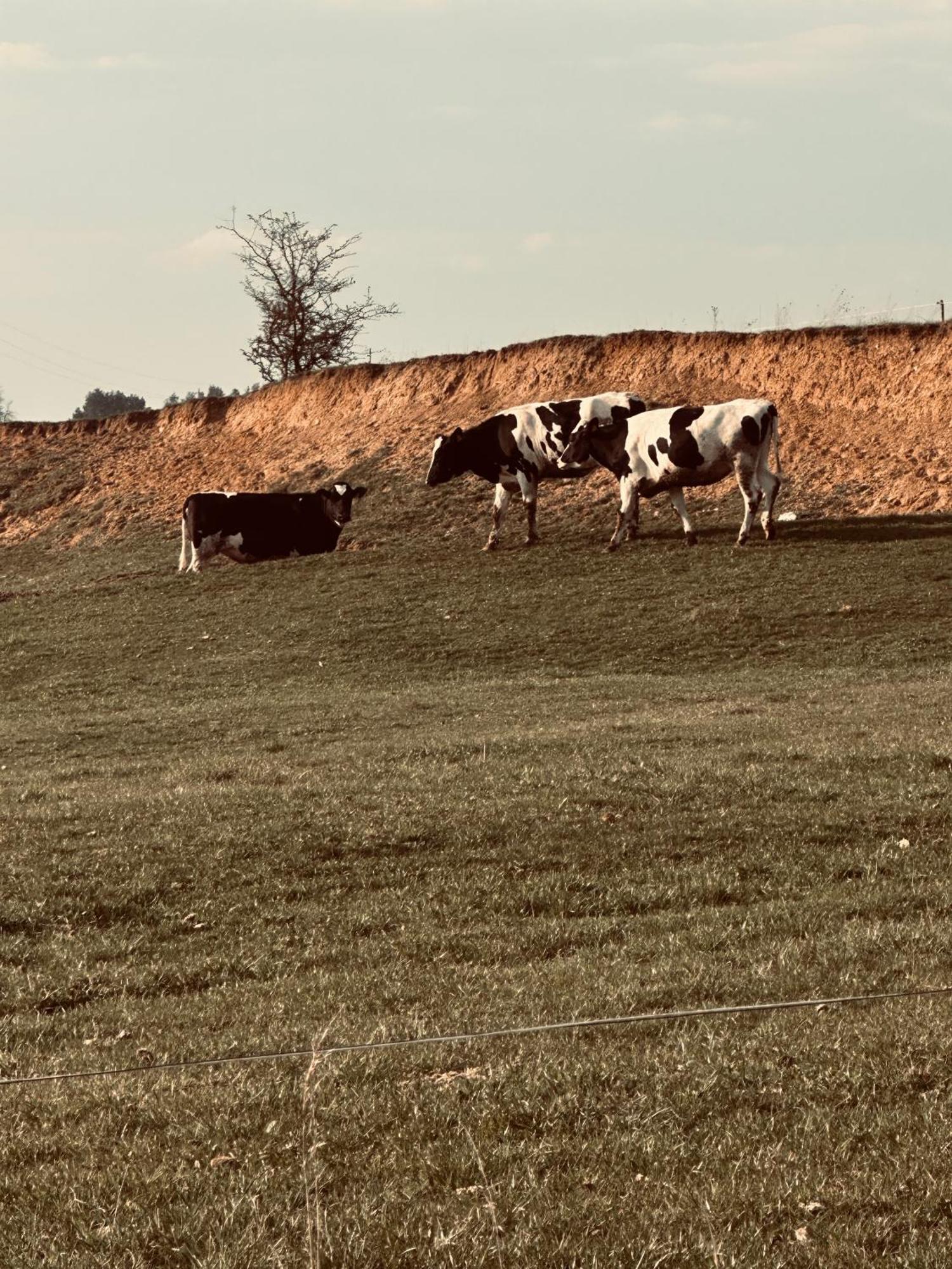 Swiat Jezior Mikołajki Exterior foto